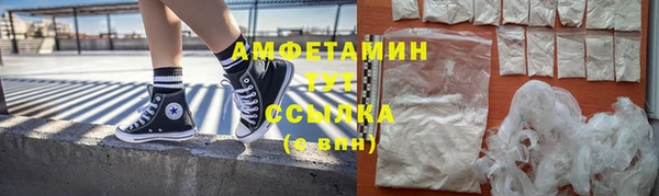 прущие грибы Алзамай