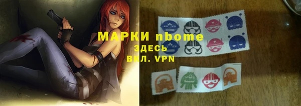 прущие грибы Алзамай