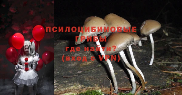 меф Алексин
