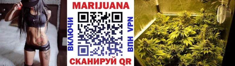 купить закладку  Сунжа  Бошки марихуана White Widow 